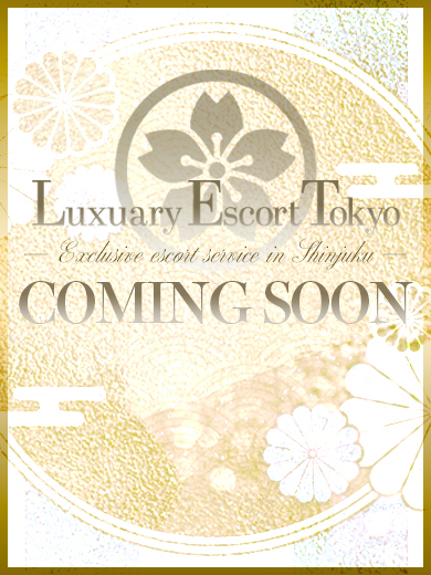 AINA / Student, Model